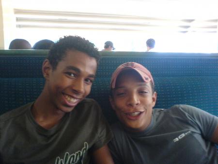 les fous
